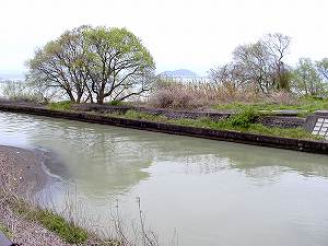 20100428tenjyo (07).jpg
